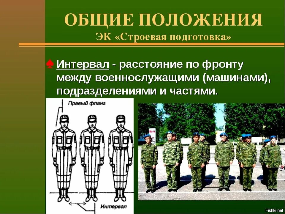 Как называется виды строя