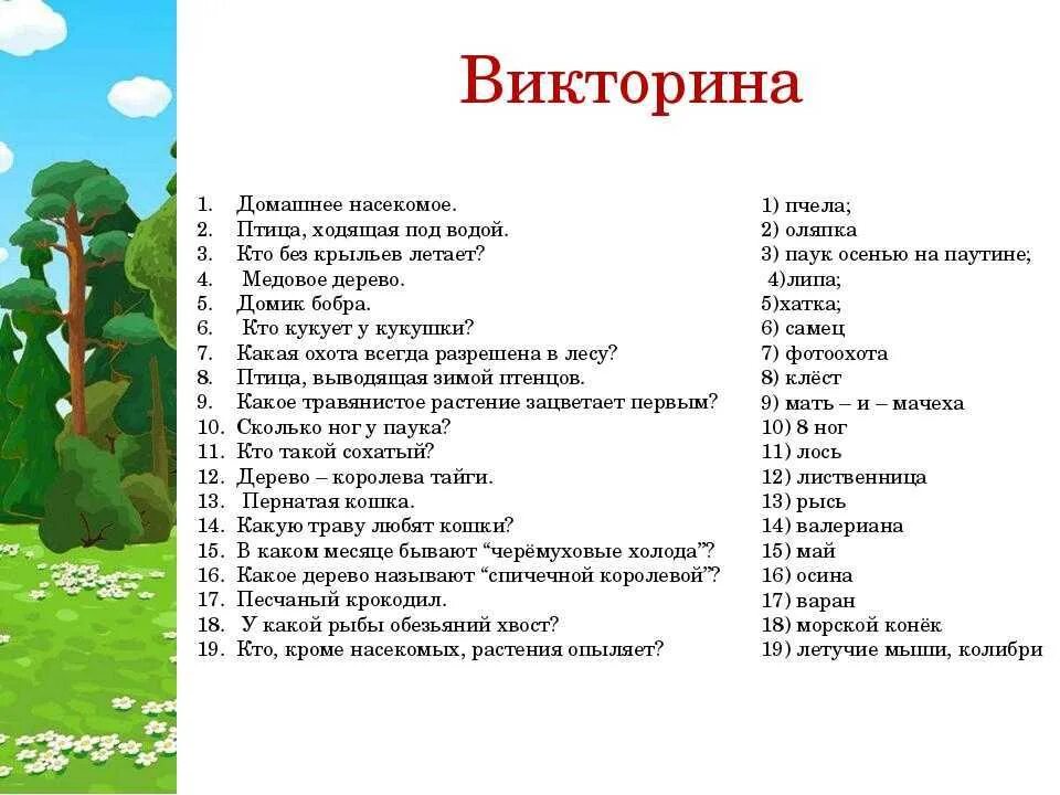 Вопросы для викторины. Вопросы для детей. Вопросы для викторины с ответами для детей. Игру в виде вопросов