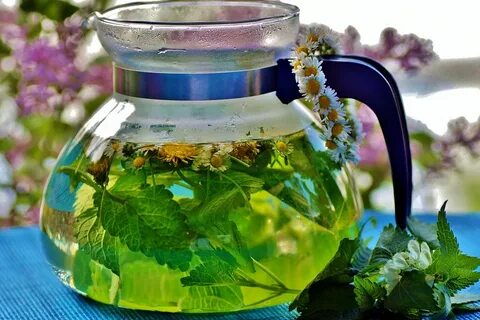 Какой травяной отвар