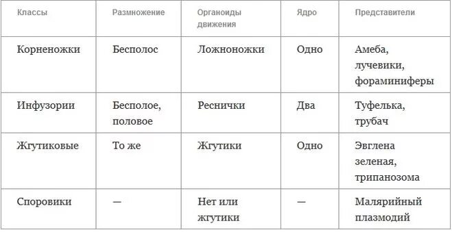 Особенности группы простейших. Таблица простейшие 7 класс биология. Сравнительная характеристика простейших таблица 7 класс. Сравнительная характеристика простейших таблица 7 класс биология. Тип простейшие таблица биология 7 класс.