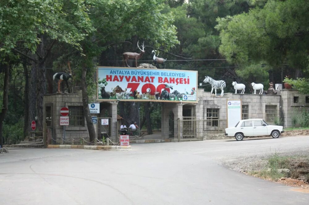 Зоопарк Анталья. Анталийский зоопарк в Турции. Парк в зоопарке Анталия. Зоопарк Анталья Кепез. Зоопарк анталия