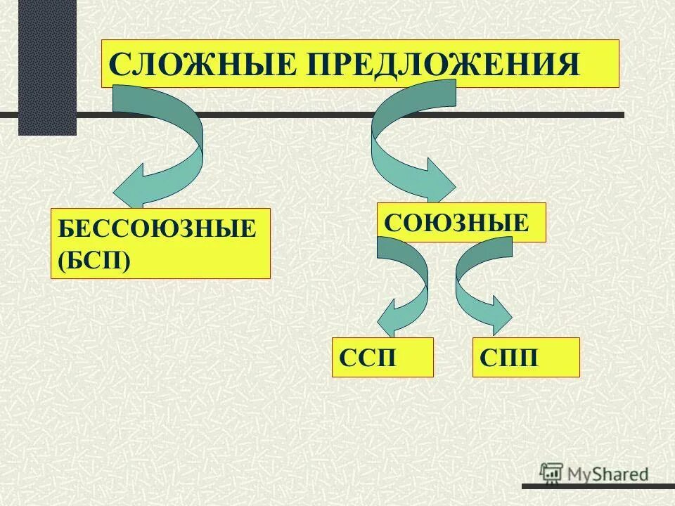 Сложные предложения. Сложное Бессоюзное ССП. ССП СПП БСП. Сложные предложения ССП СПП.