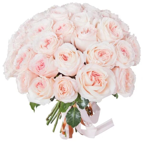 Букет розовый купить. Букет пионовидных роз Майра. Букет розовых пионовидных роз.