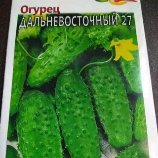 Дальневосточный 27 огурцы отзывы описание