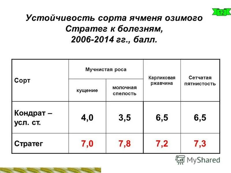Классификация зерна пшеницы. Стабильность сорта. Сои сорт «максус». Стабильность сорта. Особенности биологии озимого ячменя.