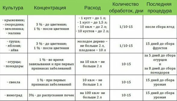 Железо для сада для опрыскивания. Медный купорос для древесины опрыскивания. Купорос для деревьев. Разведения медного купороса для опрыскивания деревьев. Как правильно развести медный купорос для опрыскивания