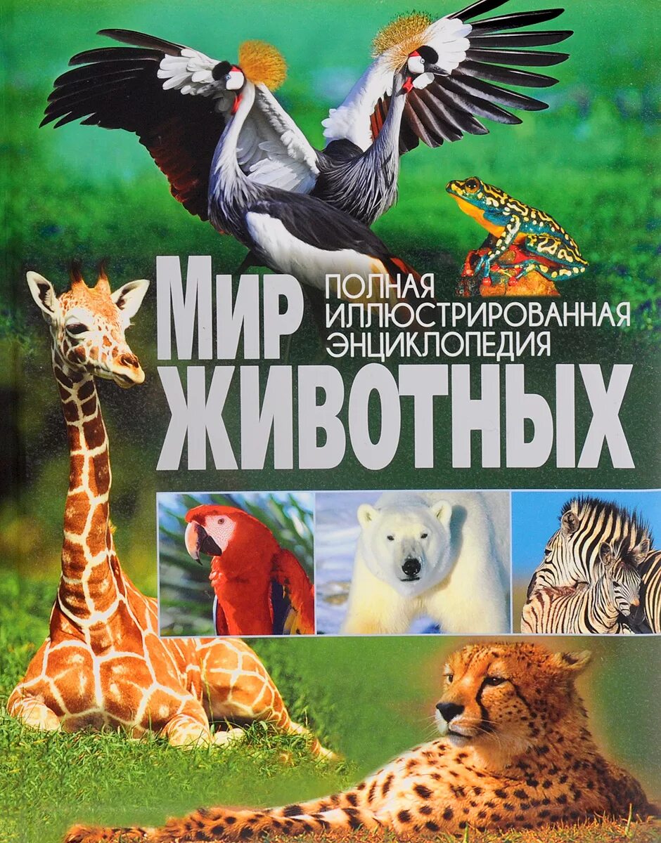 Приключения мир животных. В мире животных обложка. обложка книги мир животных. энциклопедия животный мир. энциклопедия животные нашей планеты.