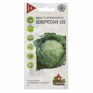 Сорт капусты белорусская характеристика отзывы и фото