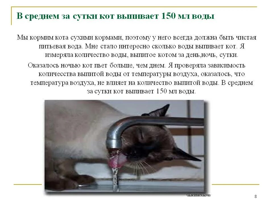 Сколько раз в сутки должен писать кот. Сколько воды нужно выпивать коту в день. сколько воды в день должен выпивать кот. норма воды для кошки. сколько воды нужно пить коту в день.