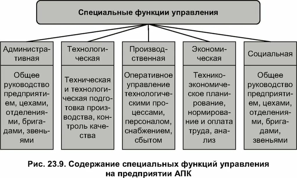 Функции управления делами в организации. Специальные функции управления в менеджменте. краткая характеристика специальных функций управления. специальные конкретные функции управления. общие и конкретные функции менеджмента.