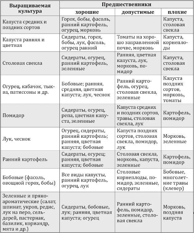 После каких культур можно сажать капусту. Таблица севооборота овощных культур на огороде. Посадка овощей предшественники таблица. Таблица севооборота овощных культур на огороде предшественники. Таблица севооборота предшественники и последователи.