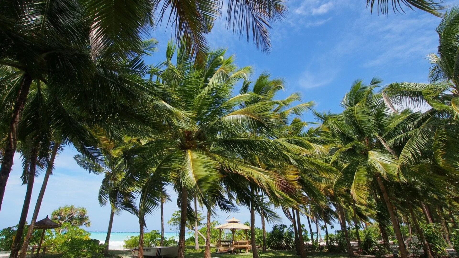 Тайланд из спб 2025