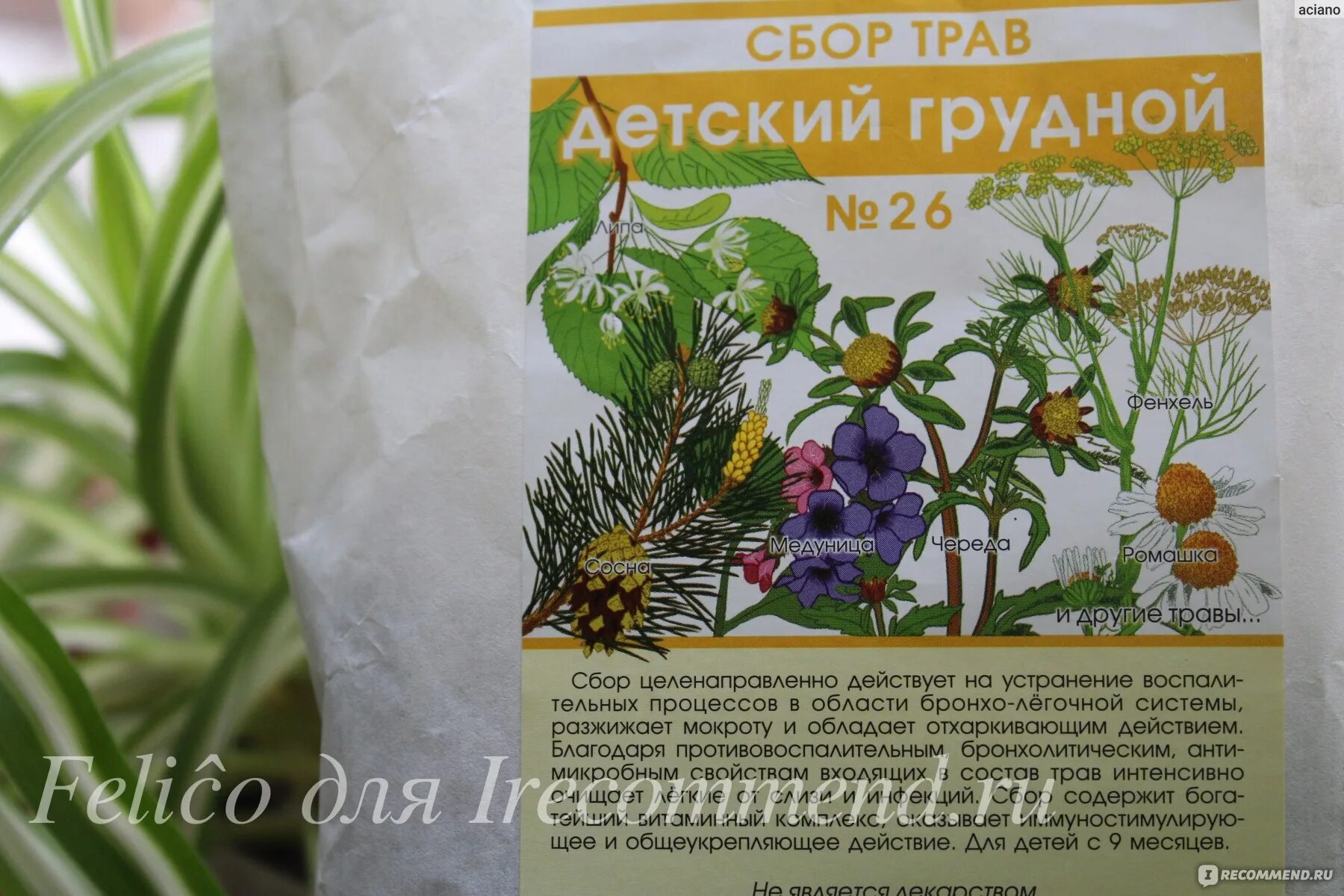 Грудной сбор ребенку 3. Травяной сбор от кашля. грудные травяные сборы для детей. детский грудной сбор от кашля. травяной сбор от кашля для детей.