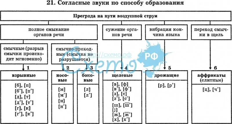 Классификация согласных звуков схема. Согласные по способу образования. Классификация согласных по способу образования. Классификация согласных звуков по месту и способу образования.