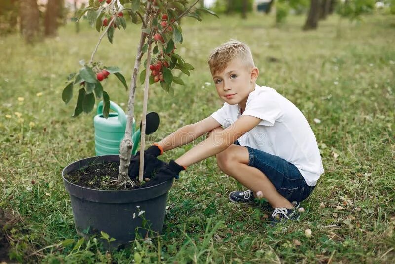 Boys plant. Сажать цветы. Мальчик сажает дерево. Дети сажают деревья. Дети сажают цветы.