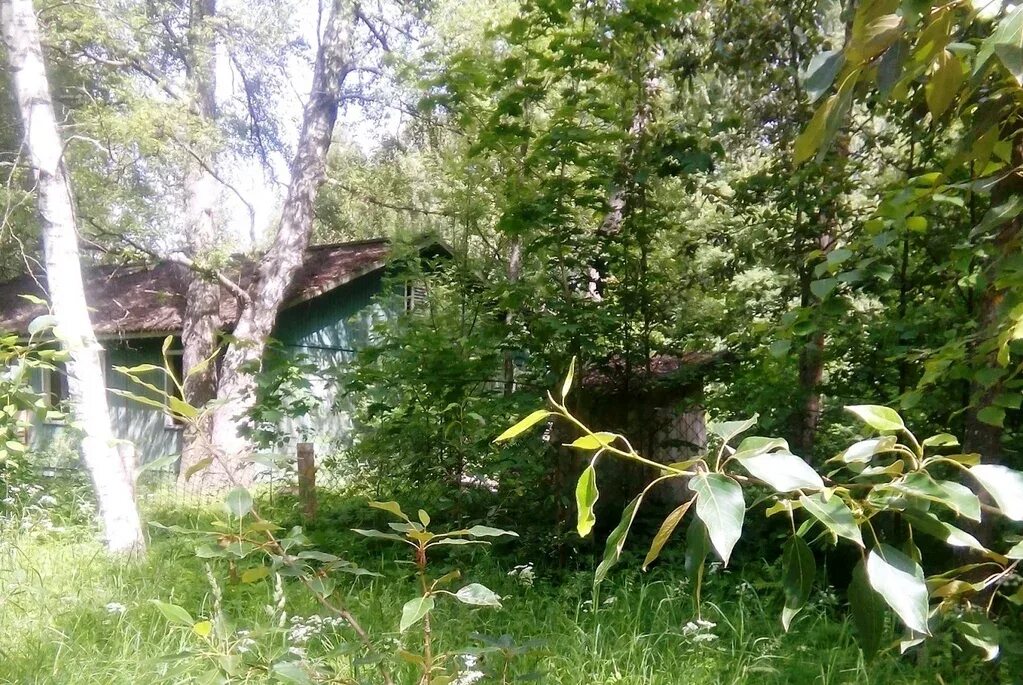 Ново окатово эко. Усадьба фонвизина ново-окатово.
