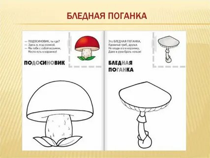 Как нарисовать поганку