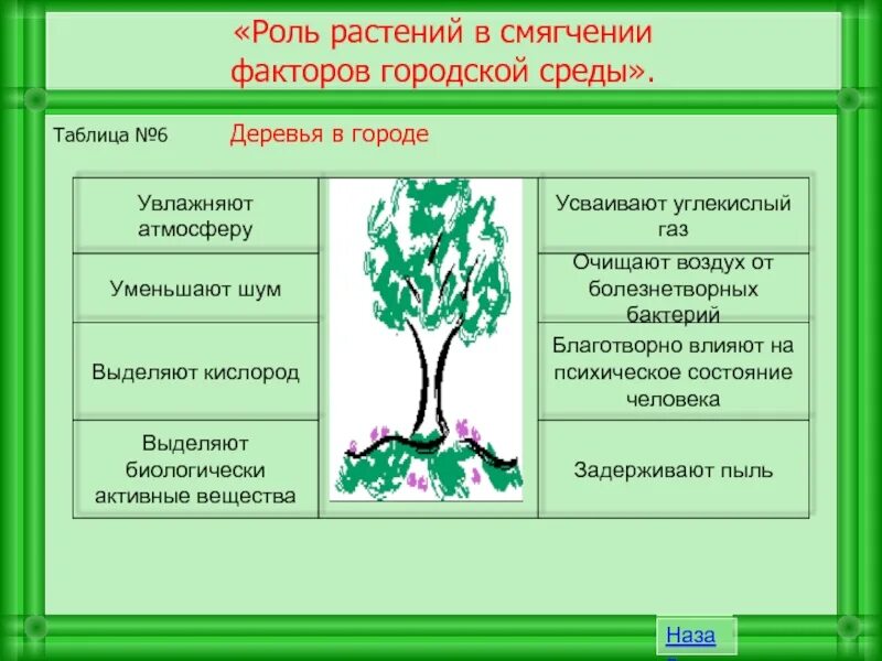 Деревьям нужен воздух. Растения влияющие на окружающую среду. Влияние растений на окружающую среду. Деревья авлеляют углекислый ГАЗ. Влияние человека на растения.