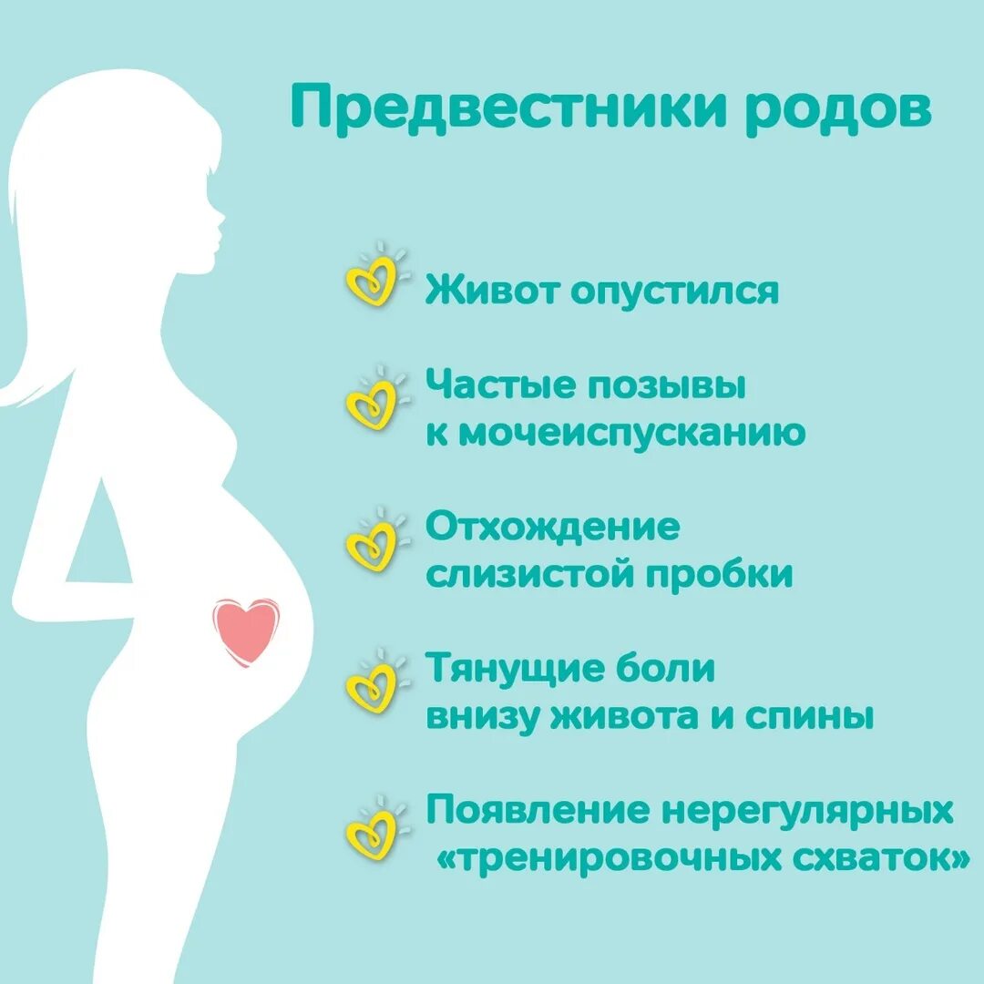 На какой неделе рожают форум. Предвестники родов. Признаки родов. Симптомы начинающихся родов. Начальные симптомы беременности.
