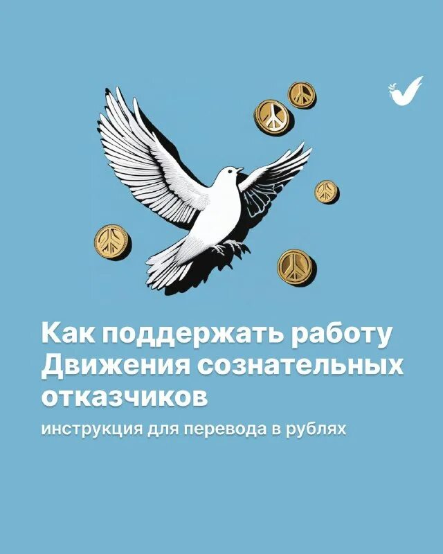 Движение сознательных отказчиков. Движение сознательных отказчиков. Движение сознательных отказчиков. Движение сознательных отказчиков флаг. Заявление в военную прокуратуру о незаконной мобилизации.