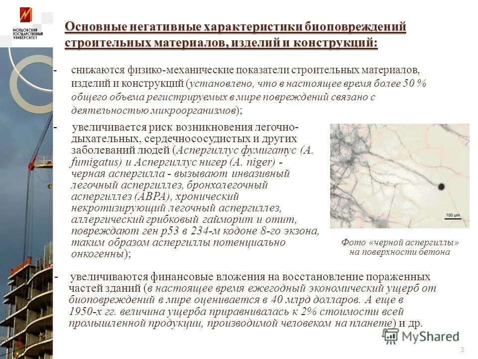 Важнейший категории категории. Разбор кейса презентация. Дали отрицательную характеристику. Нормирование негативных факторов. Источники и характеристики негативных факторов.