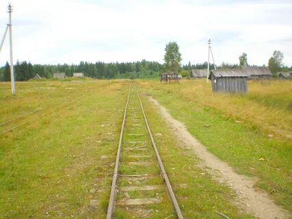 Погода в кадниковском