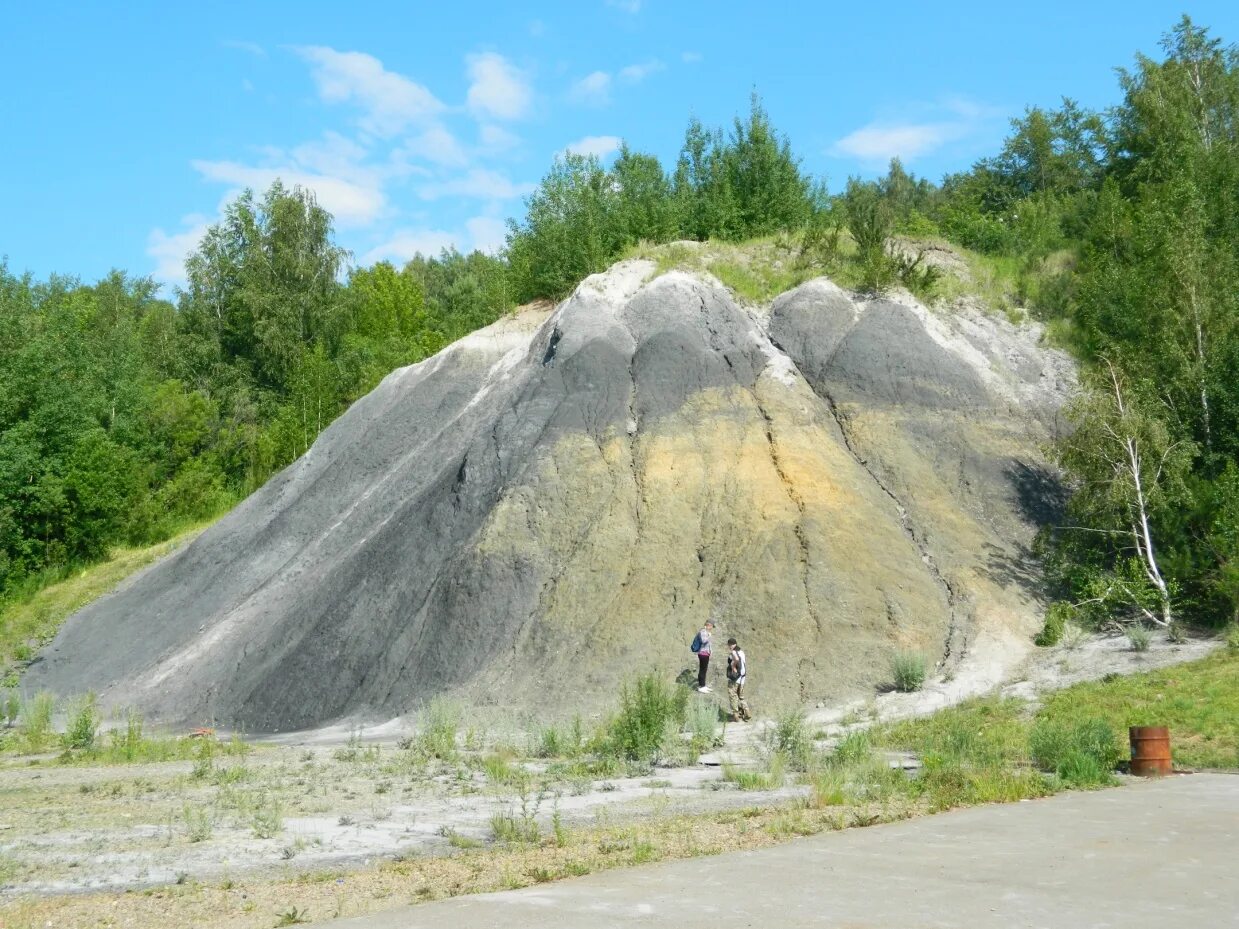 Карта месторождений томской области. Карта четвертичных отложений в московской области по районам. Геология томск. Тектоническая карта центральной части западно-сибирской плиты. Лагерный сад томск геология.