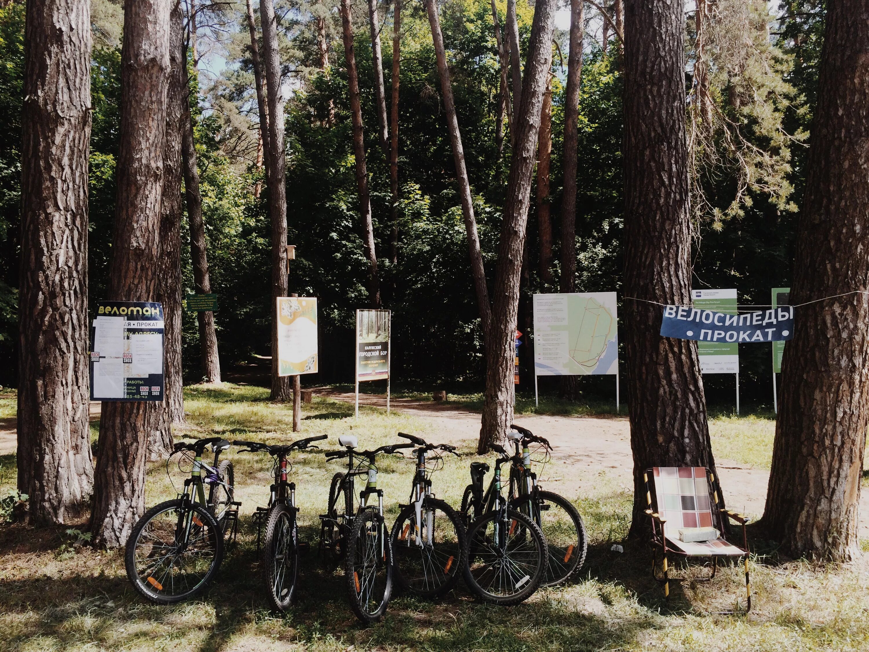 шатер мини вип серебряный бор. серебряный бор шатер лес. сосновый бор каменск-уральский беседки. беседки серебряный бор пляж 2. мангальная зона сосновый бор иваново.