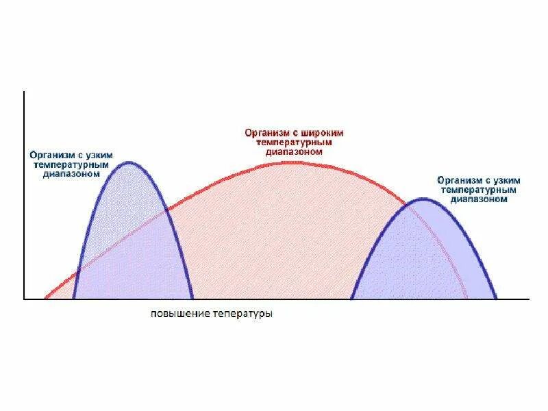 Диапазон выносливости это. График толерантности организмов. Кривые толерантности. Кривая экологической толерантности. Диапазон экологической толерантности.