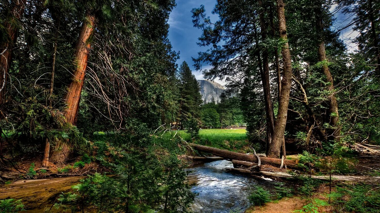 Горный ручей в кашмире (1875). Ручей пейзаж. Горный ручей вытегорский район. Ручей в осеннем лесу. Ручей пейзаж.