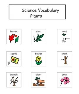 Planting vocabulary