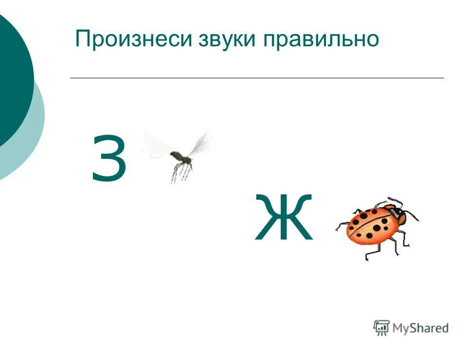 дифференциация звуков з-ж для дошкольников. з ж конспект. дифференциация з-ж задания для дошкольников. дифференциация звуков с ш з ж в предложениях. задания на дифференциацию звуков з-ж.