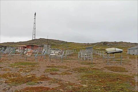 Где зеленце