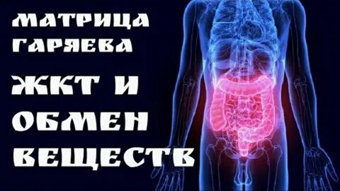 Матрица горяевой для суставов