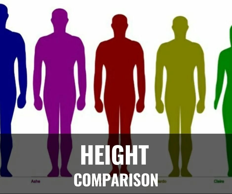 Рост человека сравнение. Height Comparison. Human height. Height Comparison Chart.