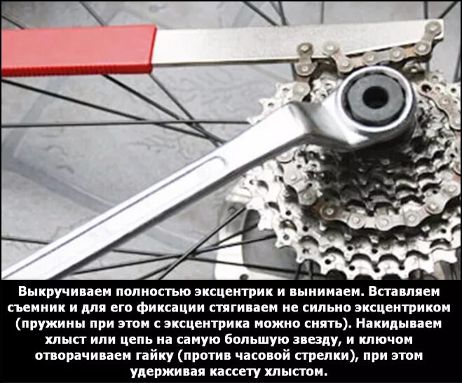 Где купить съемник и хлыст для снятия кассеты велосипеда?