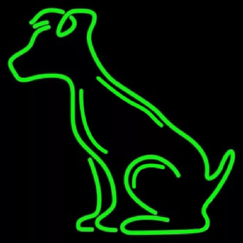 Грин дог. Неон дог. green dog. картинки собаки неон. неон собака голова.