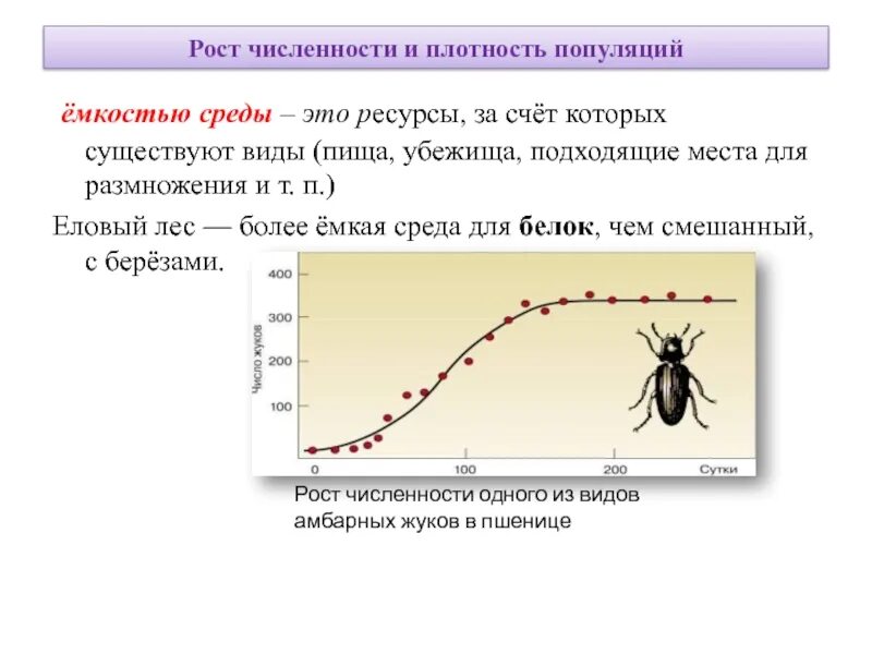 Рост численности и плотность популяций. Численность и плотность популяции. Емкость среды популяции. Емкость среды примеры.