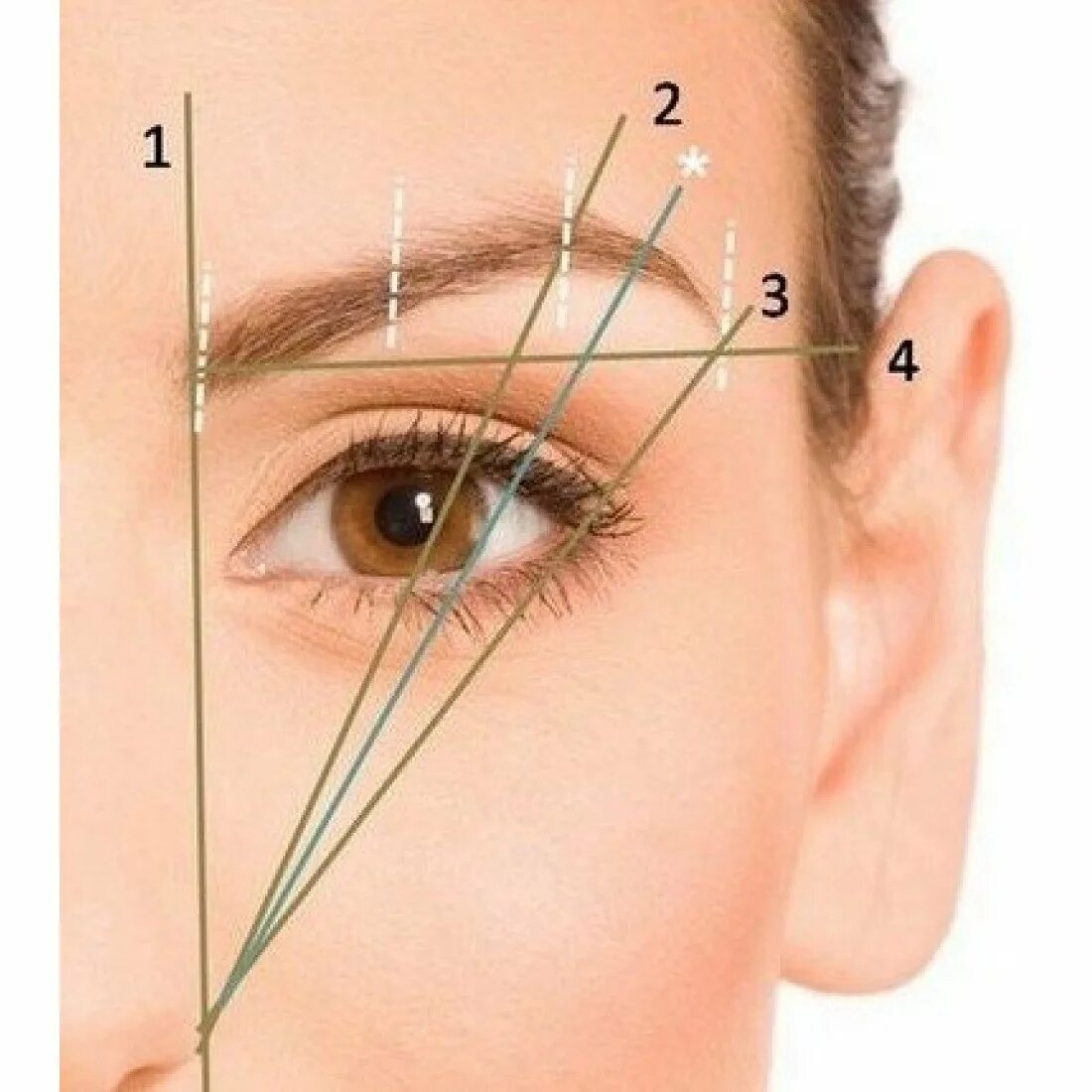 Где можно купить брови. Брови архитектура Апекс. Разметка бровей. Разметка бровей ниткой. Разметка формы бровей нитью.