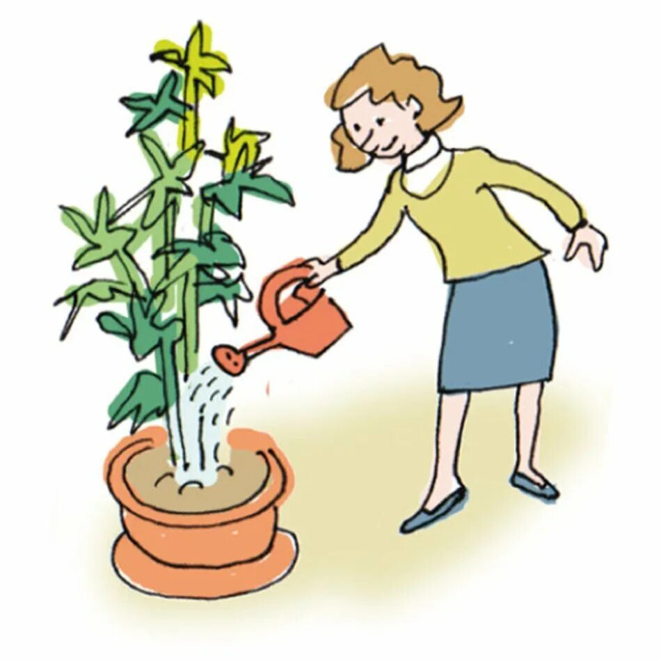 We were watering the plants. Water the Plants для детей. Water the Plants картинка для детей. Мама поливает. Water Plants Clipart на прозрачном фоне.