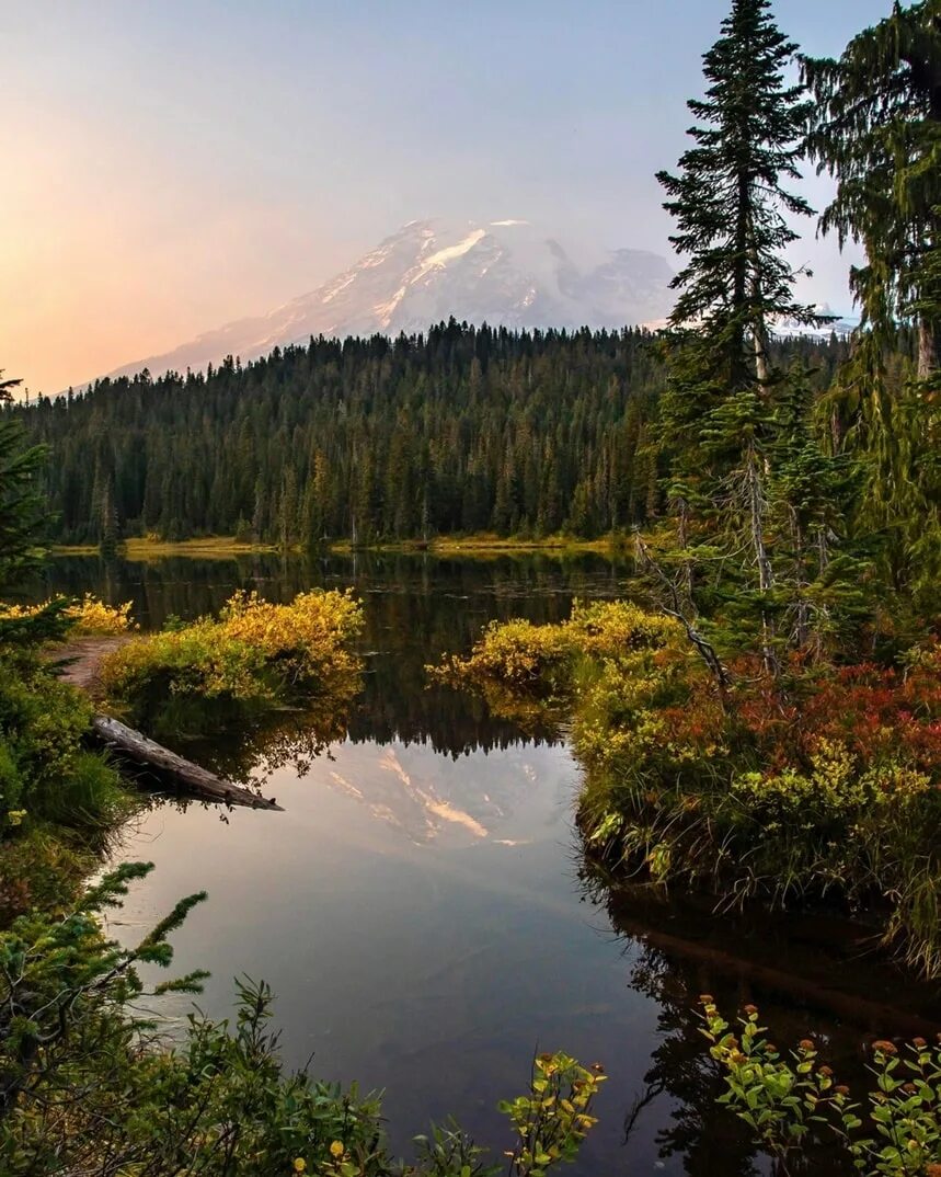 Фото природа жизнь. Nature is like. Гармония человека и природы. О природе богов. Nature is like.