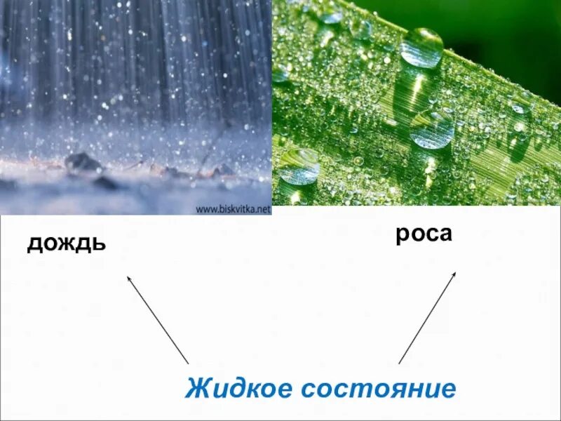 Роса состояние воды. Дождь и роса это вода в жидком состоянии. Состояния воды дождь. Роса осадки. Жидкое состояние.