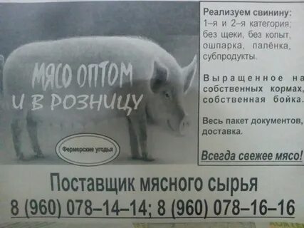 Объявления продам мясо