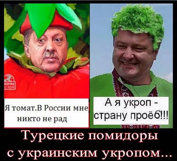 Почему укропы