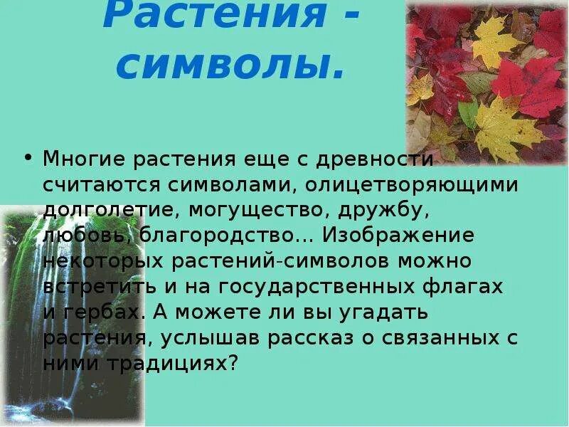 Растение символ страны. Символ растения. Растения символы разных стран. Какие растения символы разных стран-. Символы растений других стран.