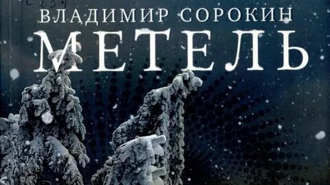 Метель владимира
