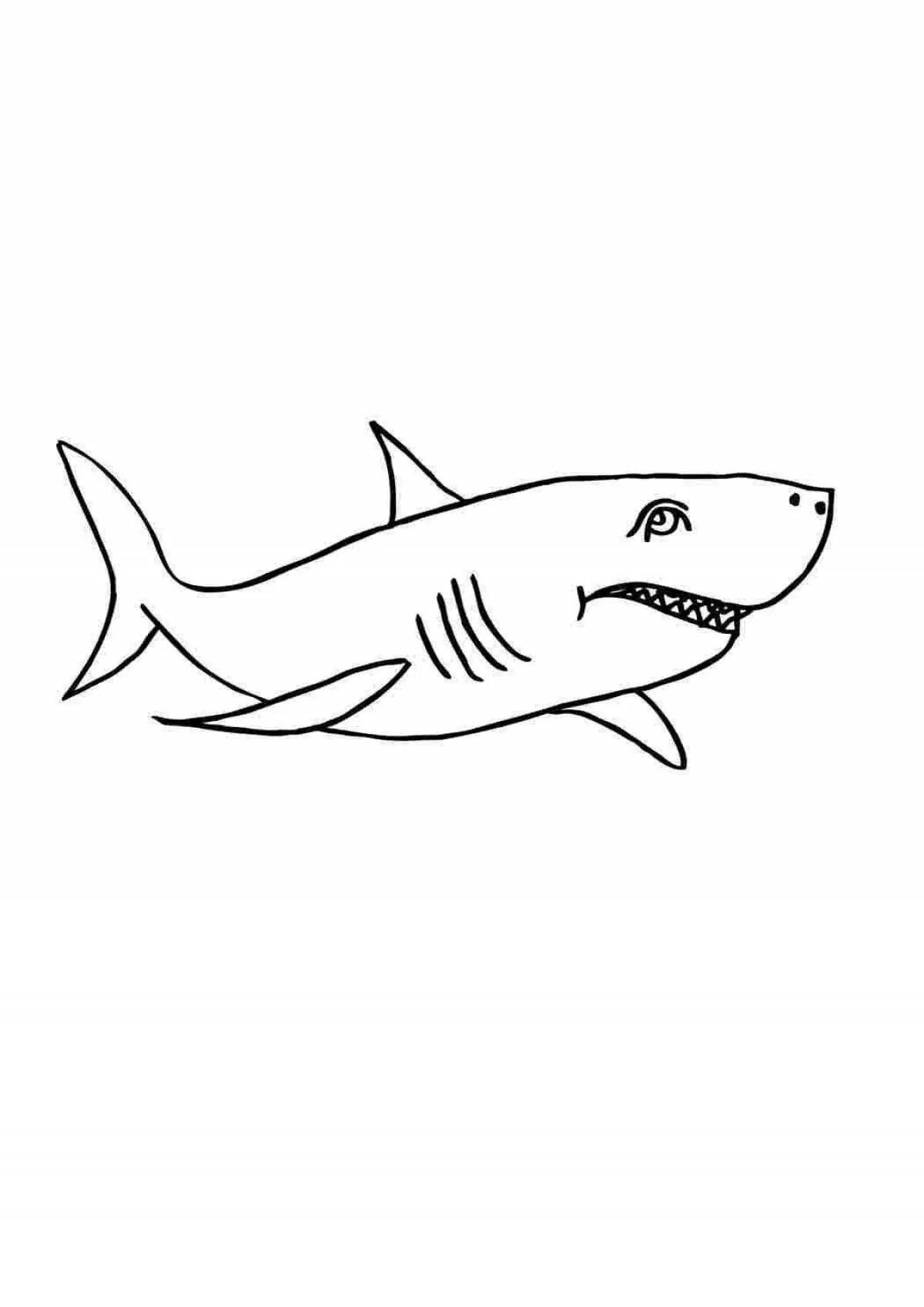 Раскраски акула. Акула раскраска. Акула раскраска для детей. Акула детская раскраска. Белая акула раскраска для детей.
