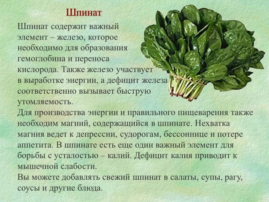 Содержит то что необходимо. Шпинат полезные. чем полезен шпинат. что содержится в шпинате. какие витамины в шпинате.