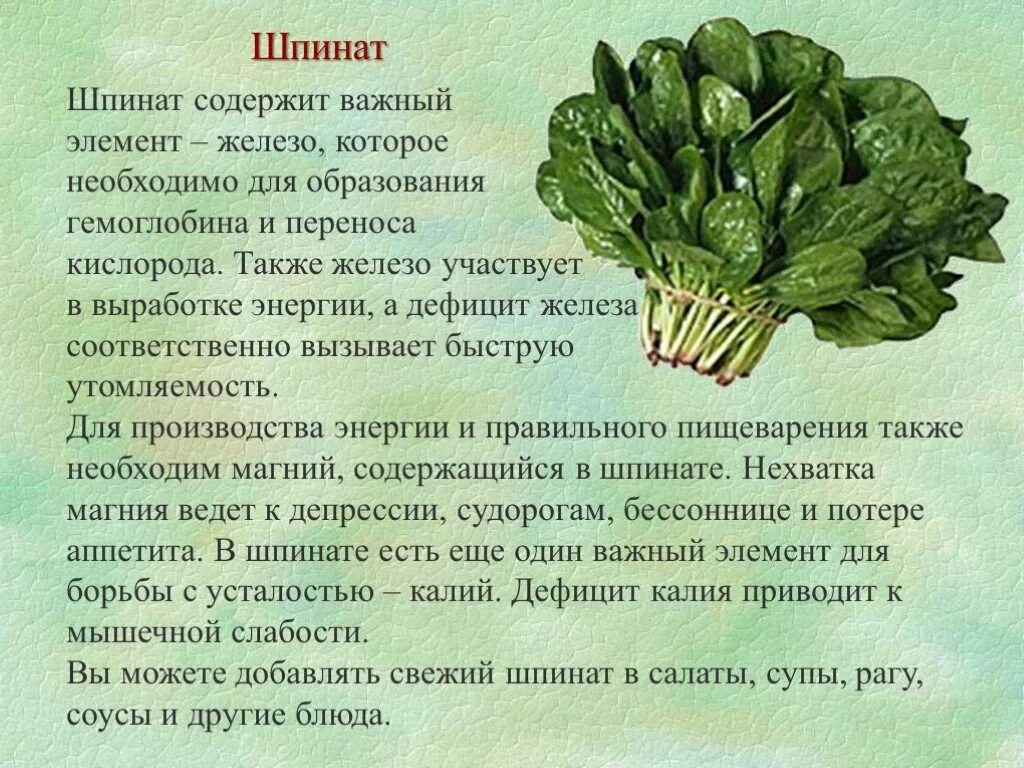 Шпинат огородный польза. Чем полезен шпинат. Шпинат витамины. Витамины содержащиеся в шпинате. Шпинат польза.