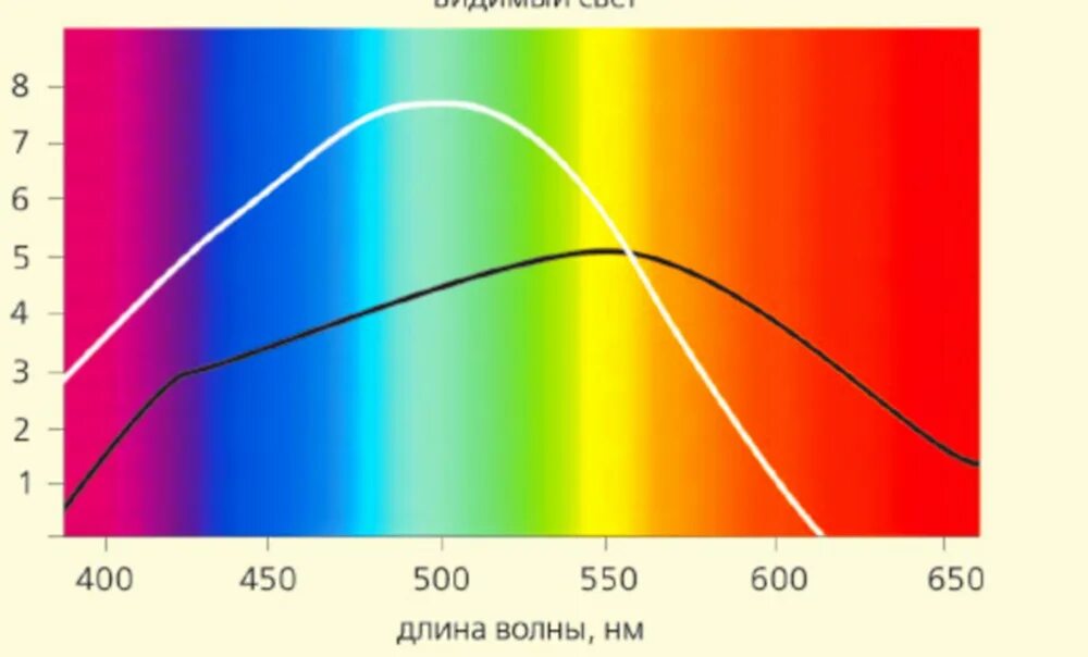 Спектр видимого излучения. Свет видимое излучение. Длина волны света. Спектр света длины волн.